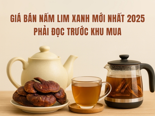 Giá bán nấm Lim Xanh mới nhất 2025: Thông tin chi tiết bạn nên biết